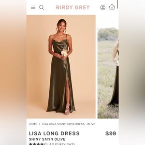Brand New Birdy Grey Bridesmaid Dress